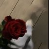 _anwar293