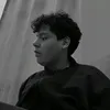 alvemsilva579