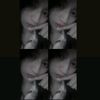citra.ncii