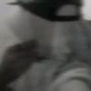 lann_4251