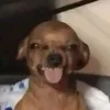 bnh.th.th0