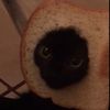 jennycatlover12