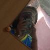 user1400773812038