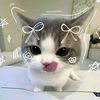 zizeoo0