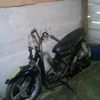 candragank12