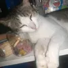 minh_ngoc_haanj_tik_
