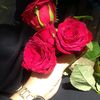 afaf.alaa66