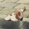 ren.com18