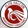 Elite falcon