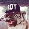 amelias.spam_acc
