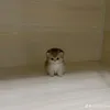 suzi_1124