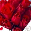user6181081416077