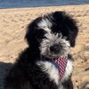 bandit.is.cute3