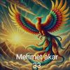 mehmetakar2081