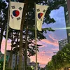 hanquoc_seoulchotoinhee