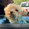 mikey_13220
