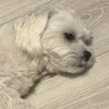 kacper_17f