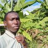 ngolobanya
