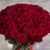 ayka13321