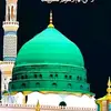 hassan.muhammad274