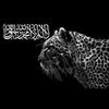 fahad.fahad8808