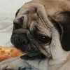 taveka0