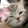 mhayjel_backuppac