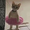 bubblenibby_