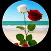 user98153060082295