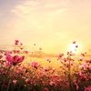 life.enjoyer39