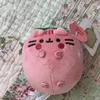 pyshin57