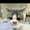 nica_nics41