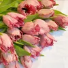 anabelle2956