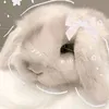 sparklezone4