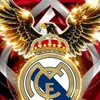 user77560846337984