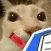 arthur13kkj