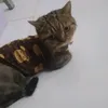 tahtanm_03