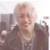 lily_im_a_stray