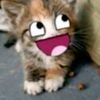 i.eatz.cerealz.lolz