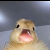 chaeui_0