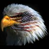 james.layden44