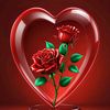 user9676061328004