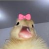 otiliabautista7
