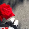 calixa_2