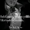 kendihalinde385
