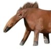 caballoheterosexuals