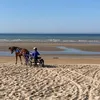 etoile.fleurie2