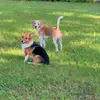 max_milo24