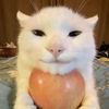 frreakyapple