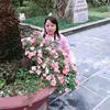 hongqucbo798